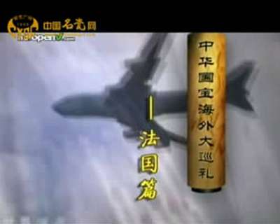 法國藏中國花卉瓷器