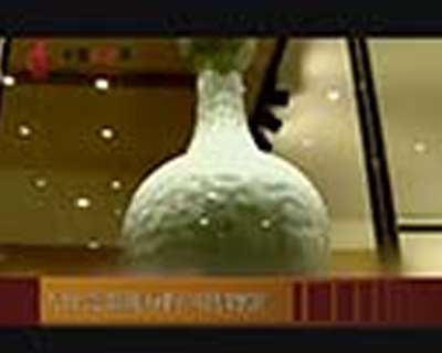 天價(jià)瓷器現(xiàn)身四川博物館