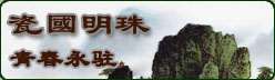 瓷國(guó)明珠——景德鎮(zhèn)藝術(shù)瓷廠建廠五十周年作品集