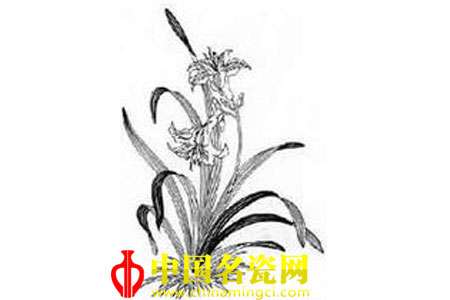 長(zhǎng)宜子孫