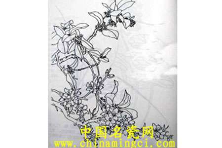 貴壽無(wú)極