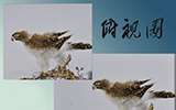 走進(jìn)景德鎮(zhèn)陶瓷藝術(shù)家——毛光輝的瓷器世界