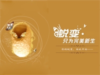 前言:由此蛻變