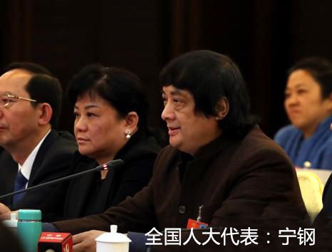 全國(guó)人大代表寧鋼：建議實(shí)施陶瓷文化傳播工程